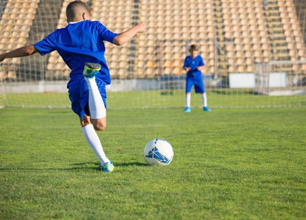 pexels kampus 8941646